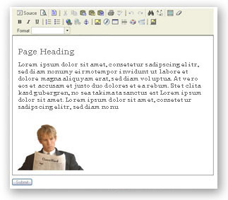 Screenshot of CMS data entry tool Screenshot of CMS data entry tool
